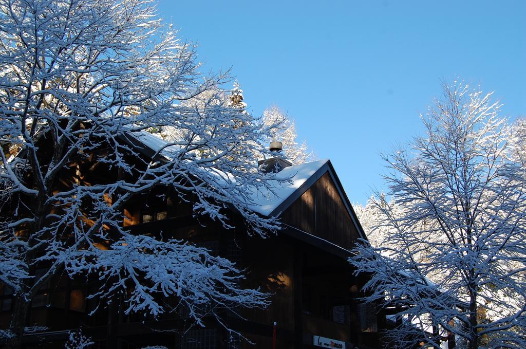 Il Bosco Villa Hakuba Luaran gambar
