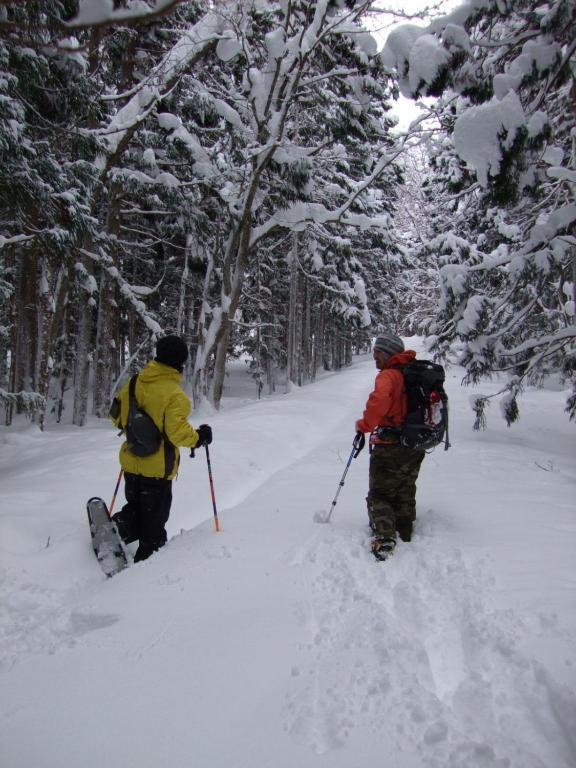 Il Bosco Villa Hakuba Luaran gambar