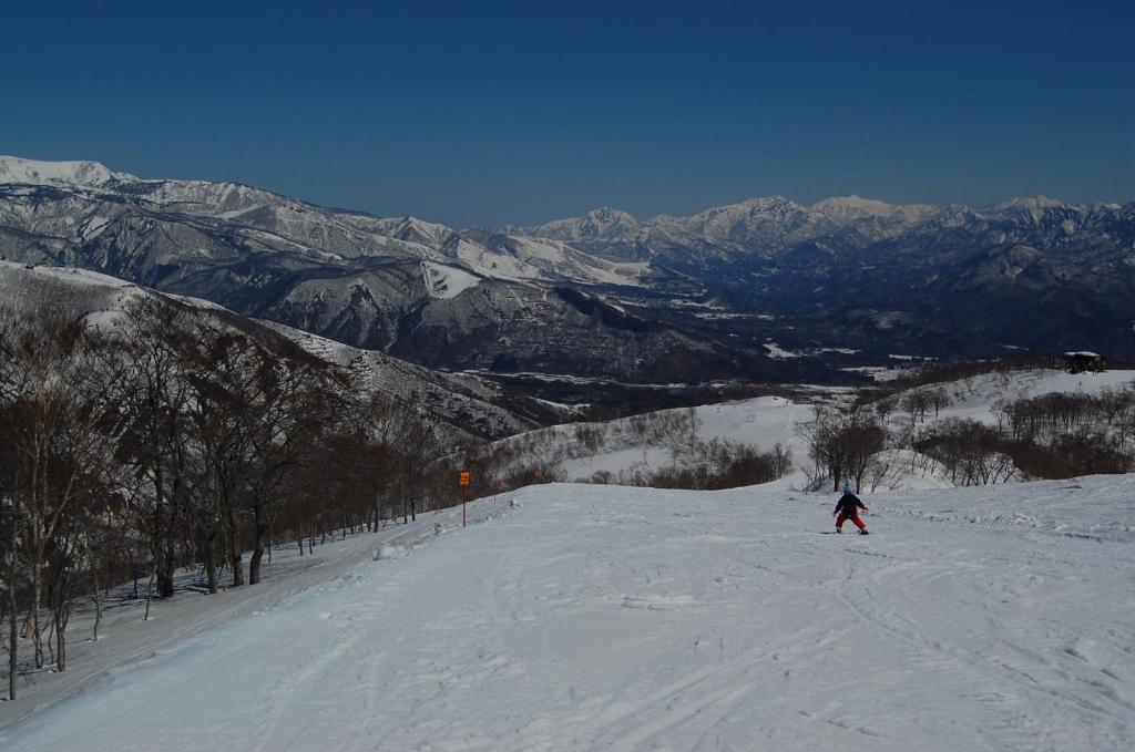 Il Bosco Villa Hakuba Luaran gambar